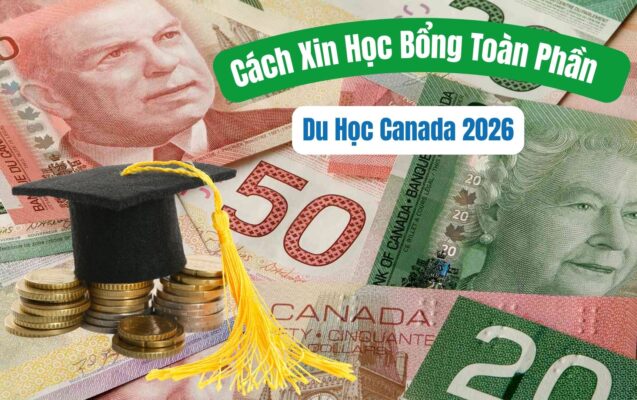 cách xin học bổng toàn phần du học canada