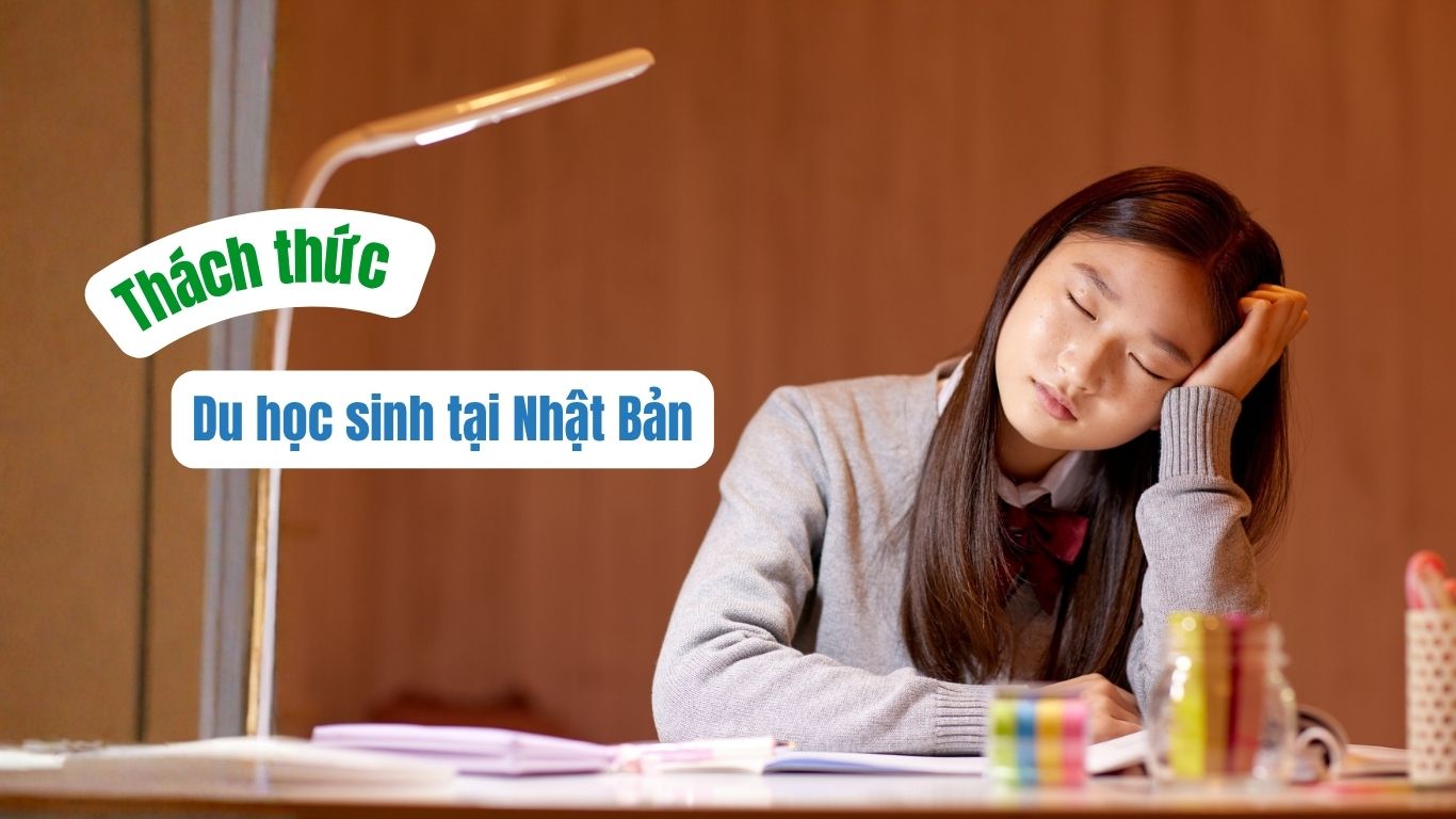 Cuộc sống du học sinh Việt Nam tại Nhật Bản