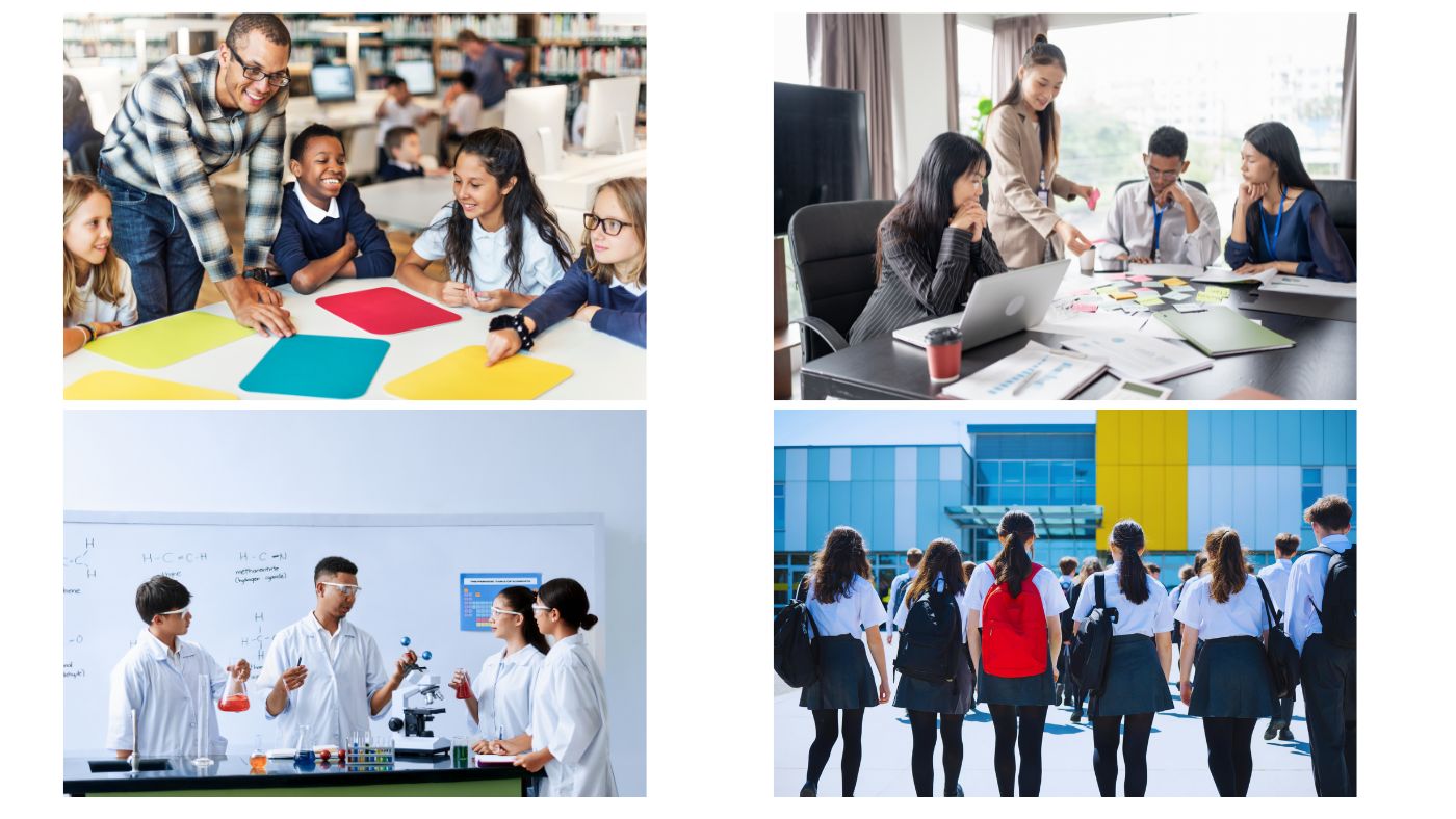 du học new zealand nên học ngành gì